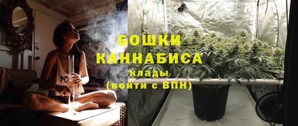 гидра Гусев