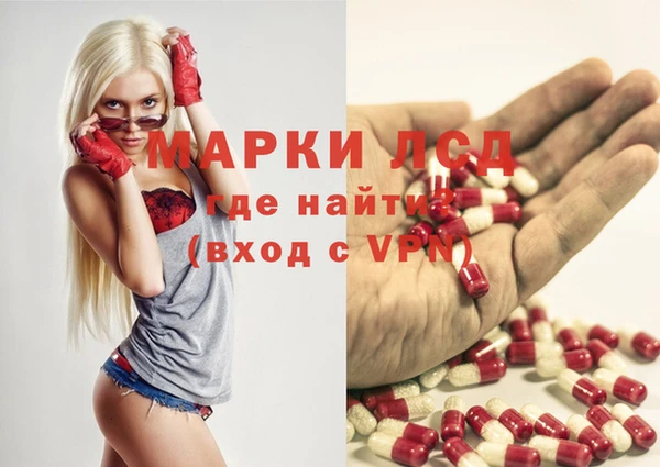 сатива Волоколамск