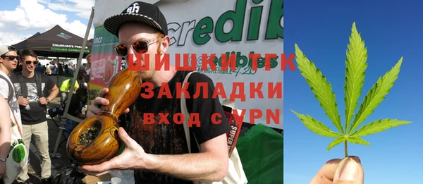 spice Горняк